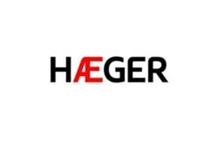 Replacement Bag for Vacuum Cleaner Haeger 5118-631SACOS Fashion