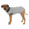 Body protector for dogs Trixie Cheap