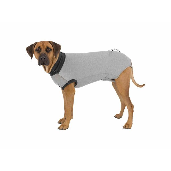 Body protector for dogs Trixie Sale